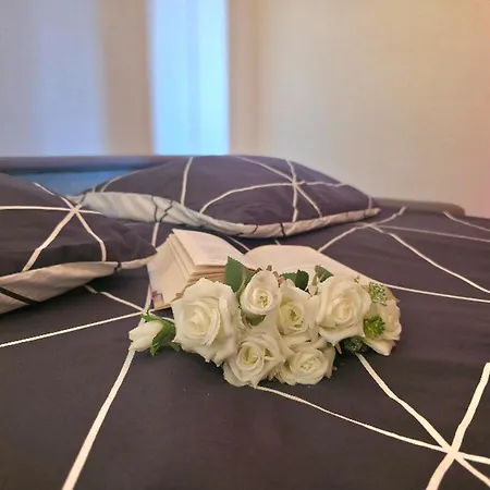 Apartment La Porte Du Soleil - Vue - A 2 Min - Terrasse Et Clim - Pet Friendly - Speciale - Holyriviera Services