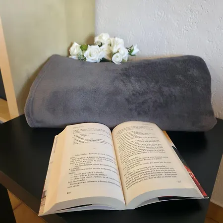 Daire La Porte Du Soleil - Vue - A 2 Min - Terrasse Et Clim - Pet Friendly - Speciale - Holyriviera Services *